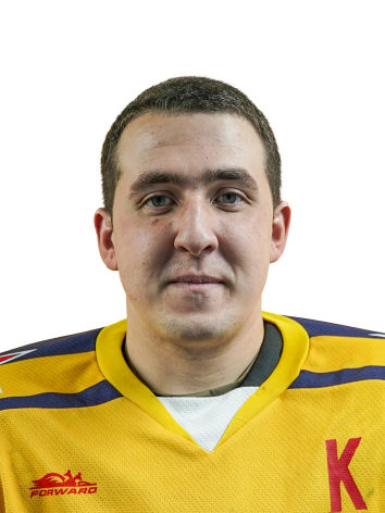 Богородицкий